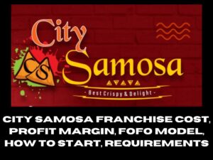 City Samosa Franchise Cost, Profit Margin, FOFO Model, How to Start, Requirements
